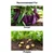 Insect Lures For Brinjal Fruit and Shoot Borer (Leucinodes Orbonalis)(Pack-Pack of 20)